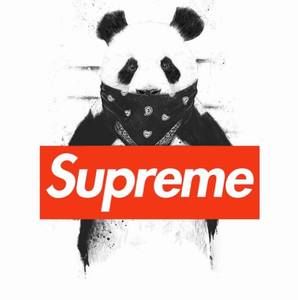 Meet your Posher, Miguel